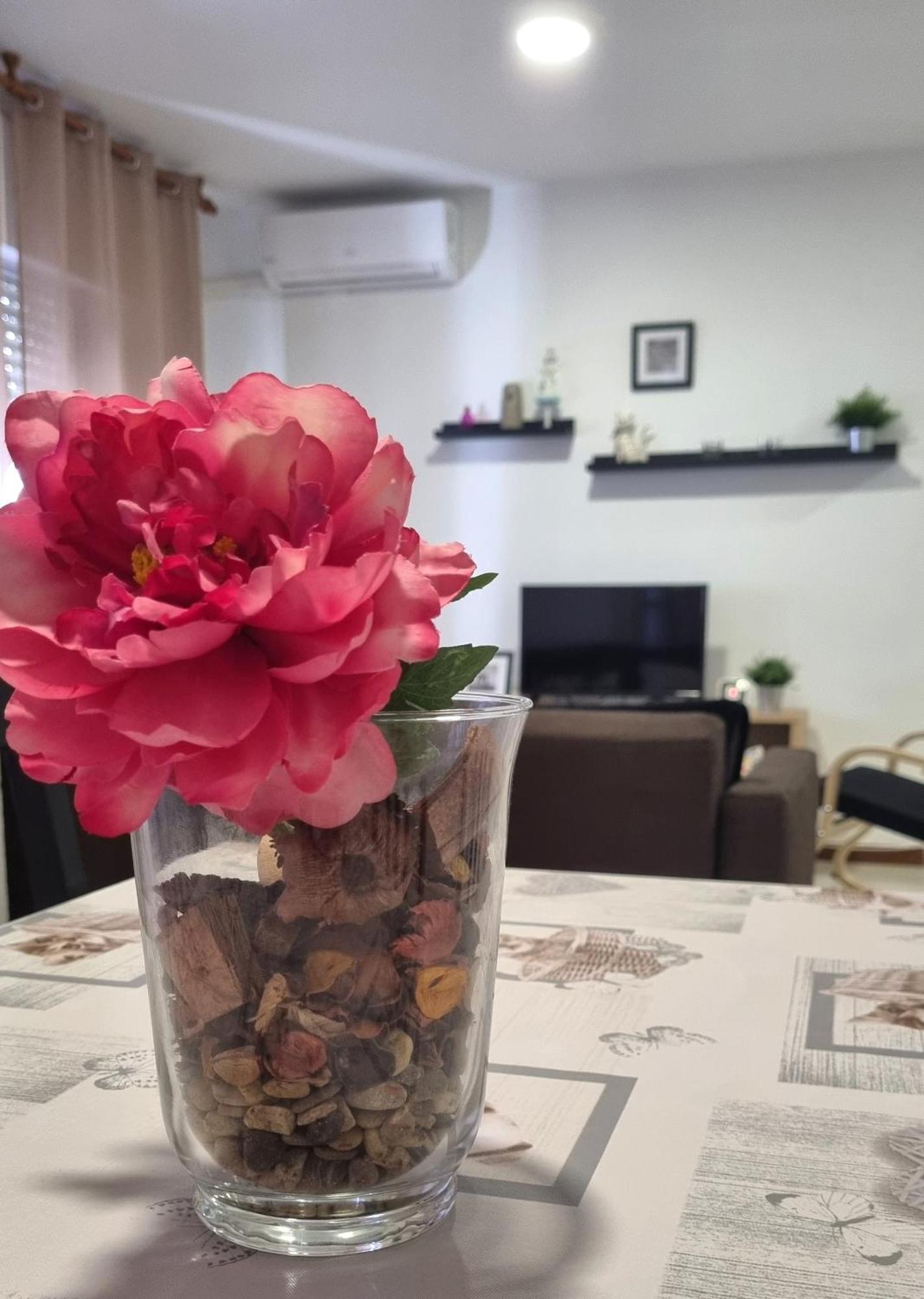 Apartamento Cayetano Рота Екстер'єр фото